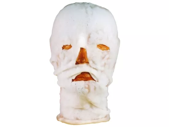 Masque facial hydrogel Bursnshield