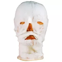 Masque facial hydrogel Bursnshield